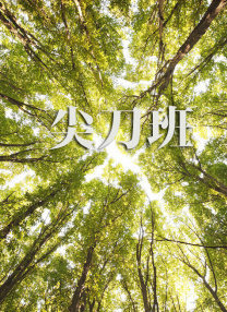 av电影资源